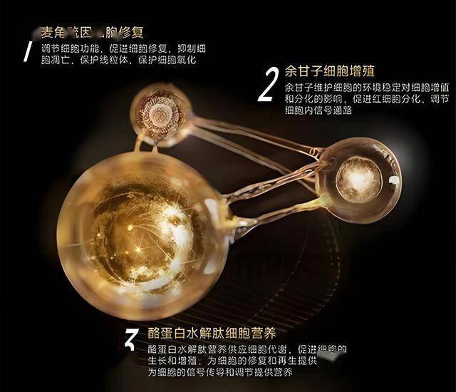 这些想实现财富自由的人必看：mt4自动交易软件归纳全攻略